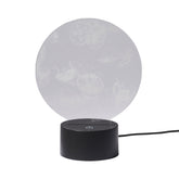 Acrylic LED jellyfish lamp