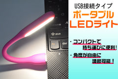 Portable LED light